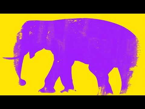 El viaje del elefante critica Actualizado enero 2025