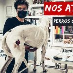 Viajes ArTaZa